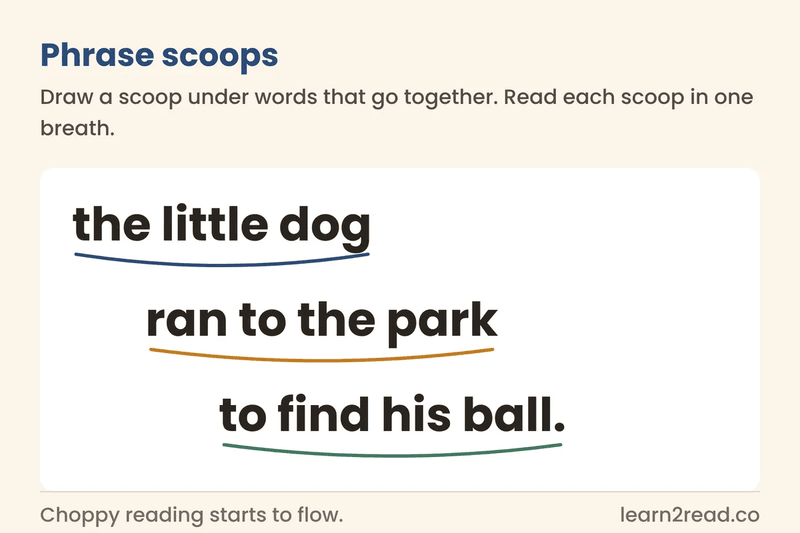 Card showing phrase scoops: the sentence the little dog ran to the park to find his ball split into three scoops, read each scoop in one breath